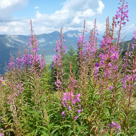 Chalet Untergladner Schladming