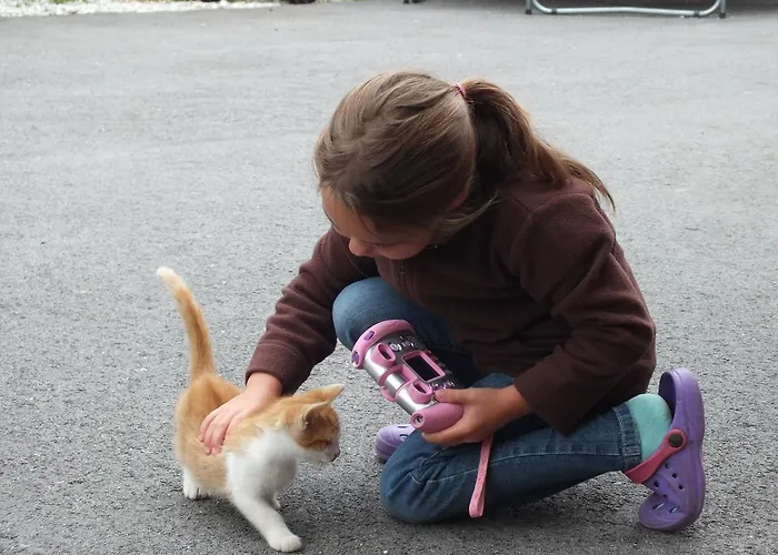 恩特尔格拉德尼尔宾馆