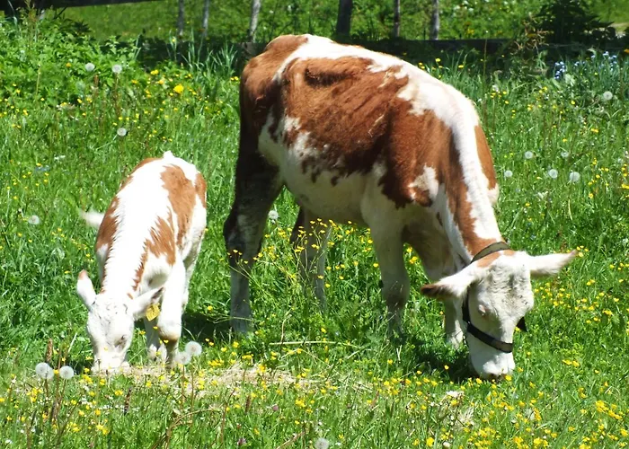 恩特尔格拉德尼尔宾馆 木屋 *